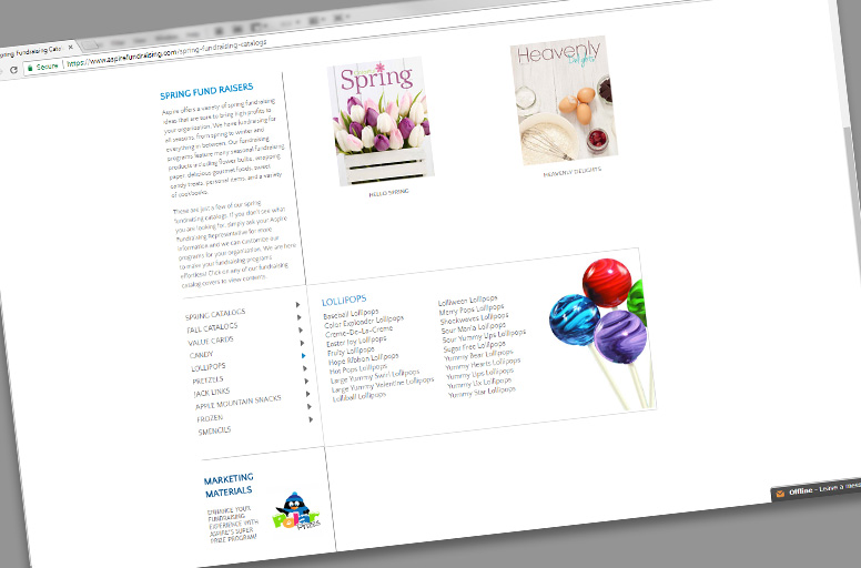 Aspire Fundraising Web Design 3